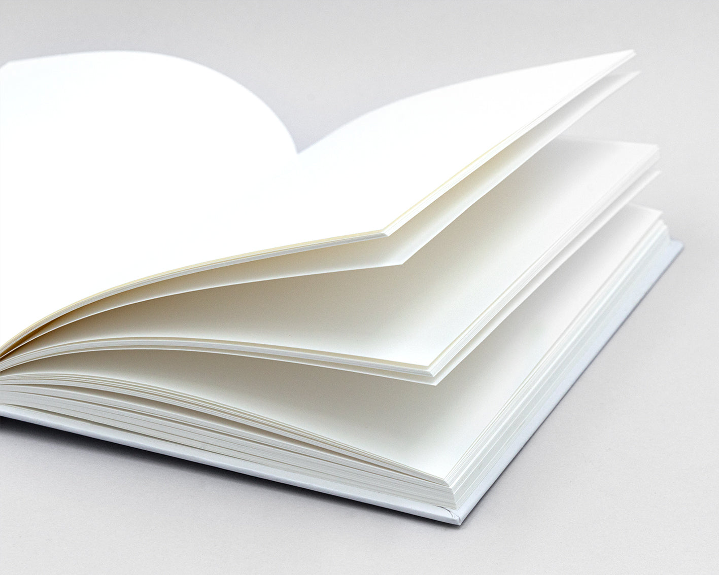 Diary Journal